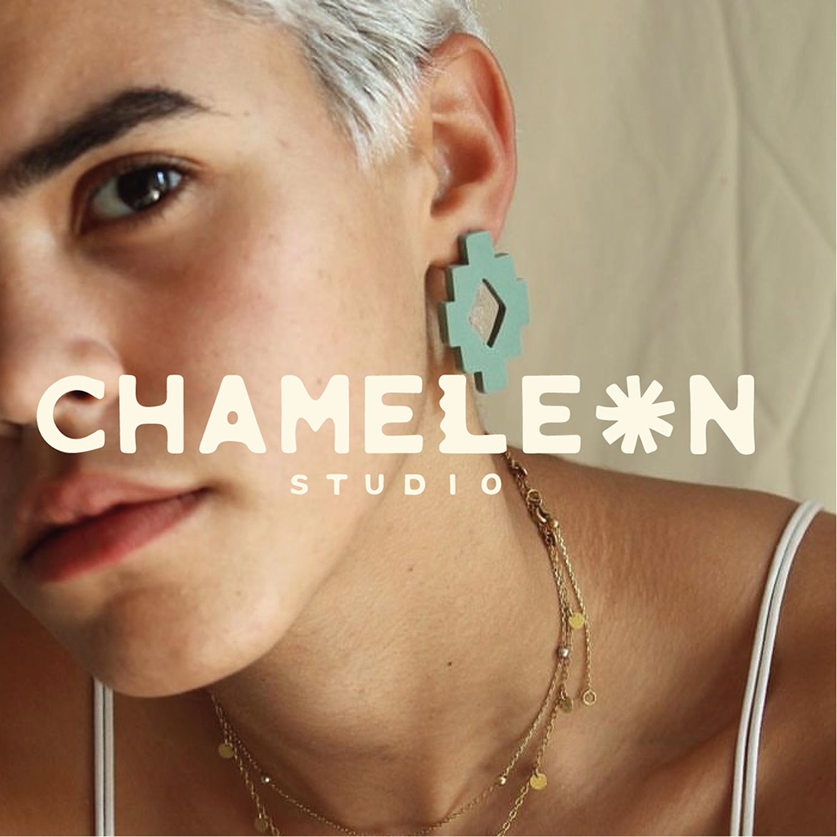 Chameleon Studio image 1
